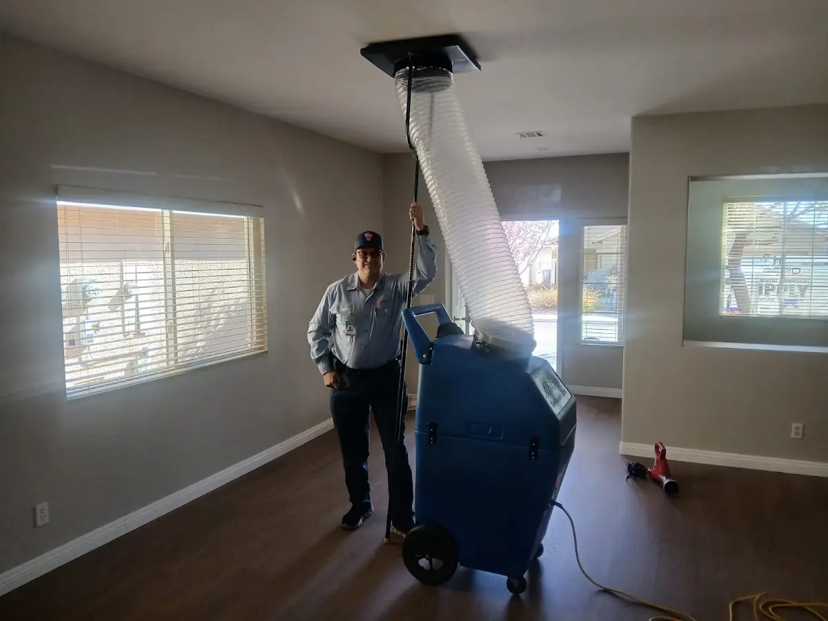 Professional Dryer Vent Cleaning work inside a Shillington home